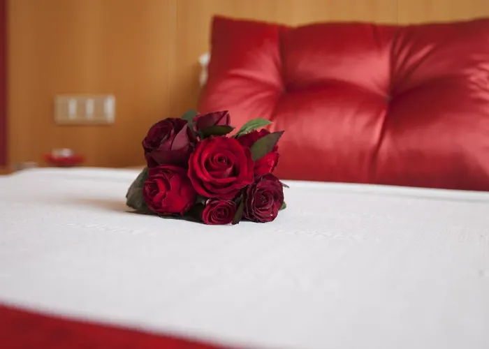 Dunas D'ovar فندق